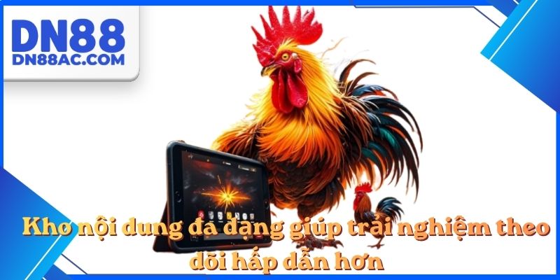 Kho nội dung đa dạng giúp trải nghiệm theo dõi hấp dẫn hơn